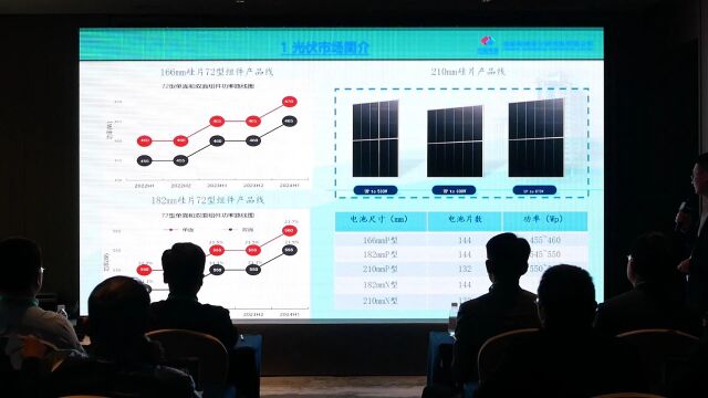 吴迪:四川光伏基地N型组件的选型设计