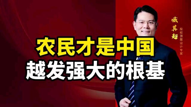 农民才是中国越发强大的根基