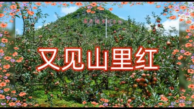 《又见山里红》@善若水、书法家@徐以富 合唱