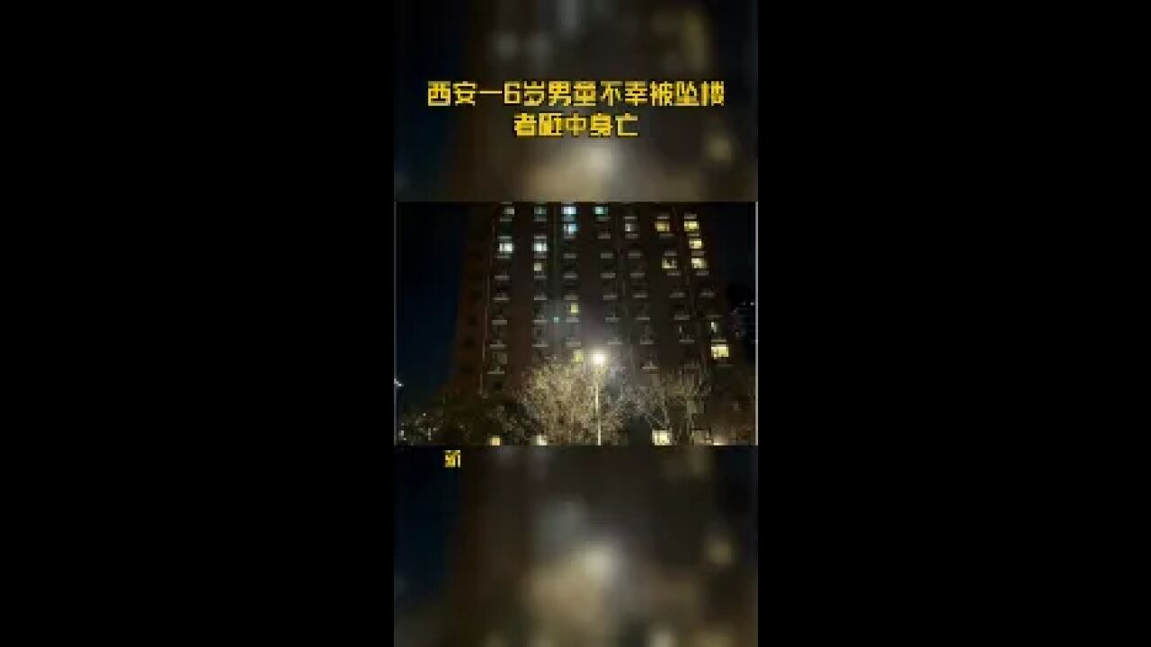 西安一6岁男童不幸被坠楼者砸中身亡