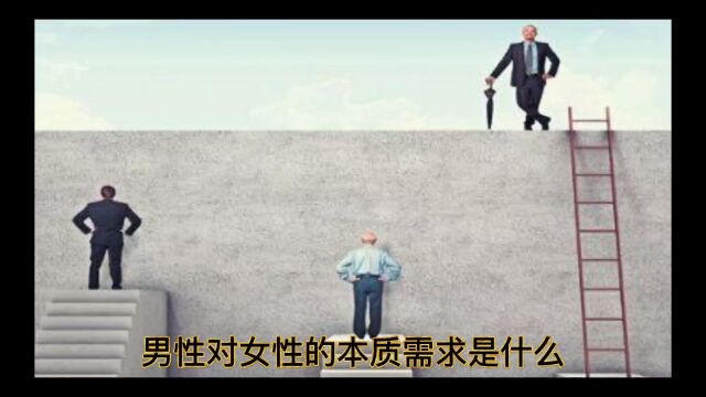 本质到底是什么——哲学人生