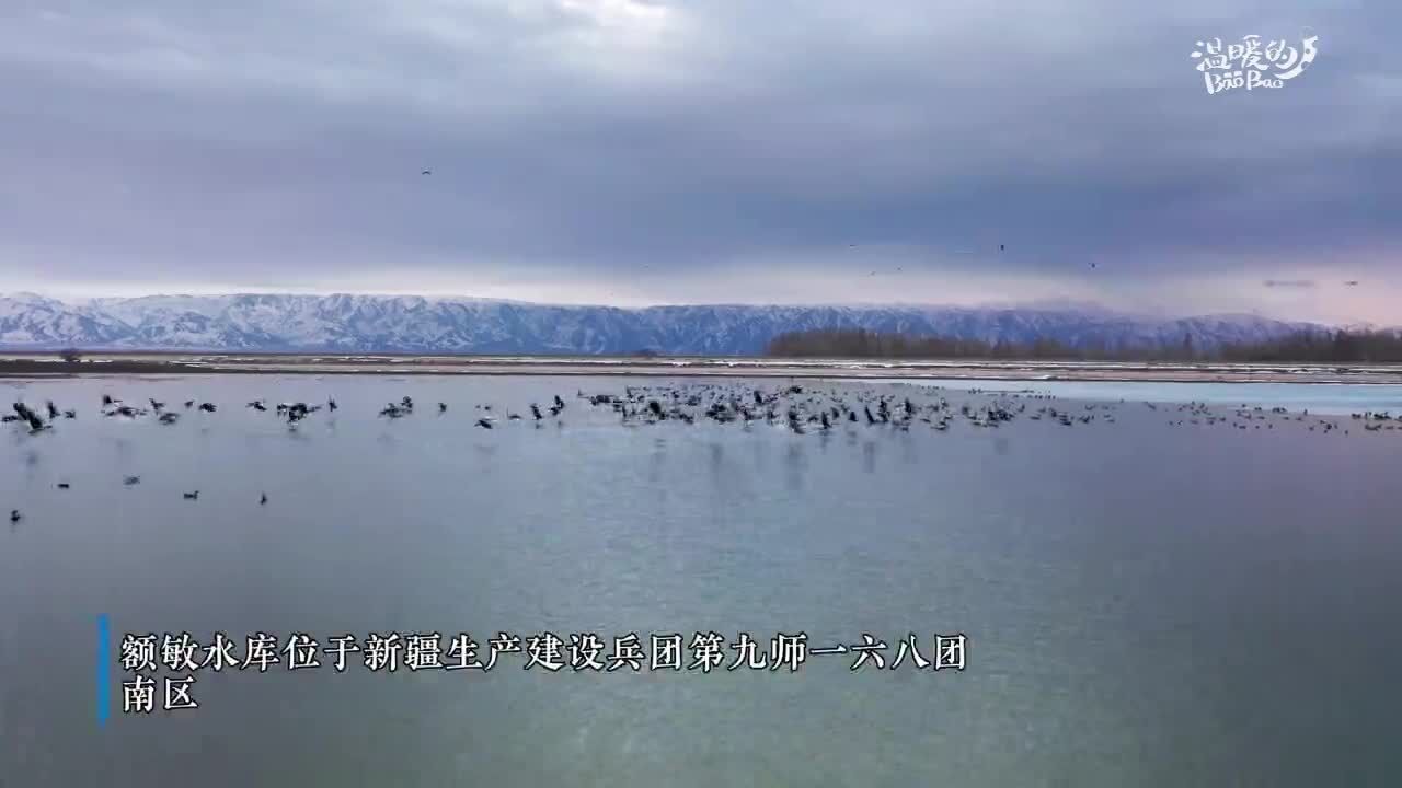 守护额敏水库