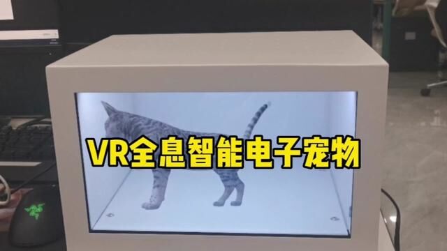 VR全息可交互电子智能宠物!会说话不掉毛能帮你办事的宠物! #人工智能 #沉浸式 #萌宠 #择世代科技