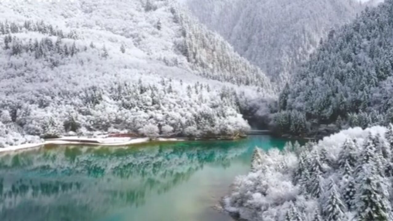 碧蓝纯白的世界!春雪后九寨沟烟波飘渺似人间仙境