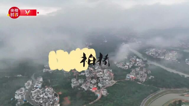 走进高州市根子镇柏桥村