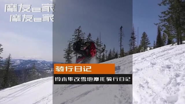 铃木隼改雪地摩托骑行日记这动力跑雪地那是真的轻松翘头飘逸直线加速!#铃木隼 #雪地摩托