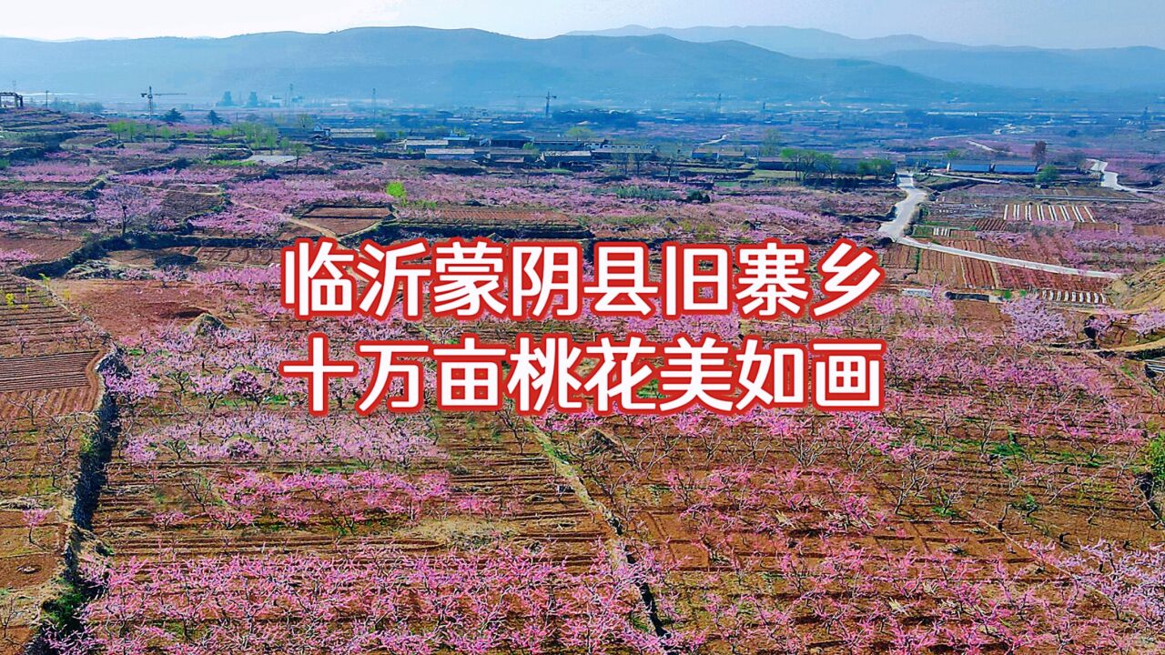 山东临沂蒙阴旧寨乡,桃花旅游文化节,十万亩梯田花海绽放美如画