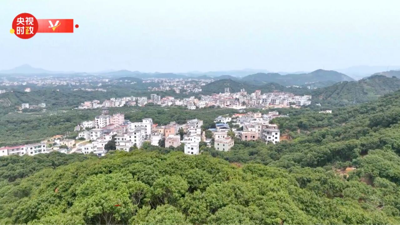 独家视频丨习近平在茂名市考察调研