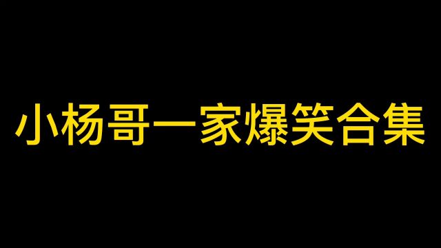 杨哥杨弟搞笑合集