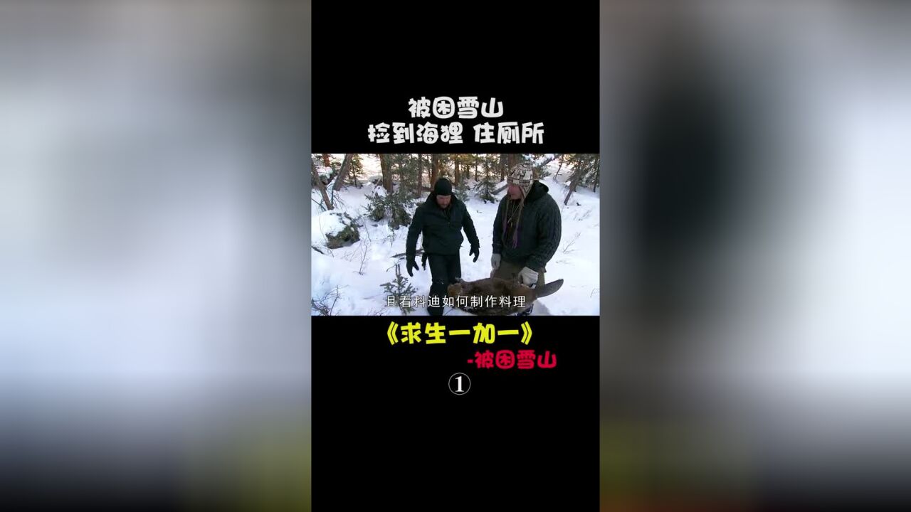 求生一加一:被困雪山,如何自救#荒野求生#我的观影报告