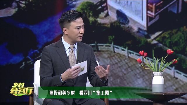 乡村会客厅 | 建设和美乡村 看四川“施工图”