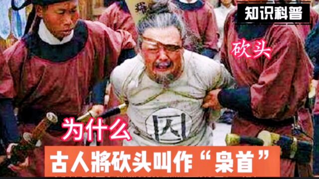 为什么古人将砍头叫作“枭首示众”呢?