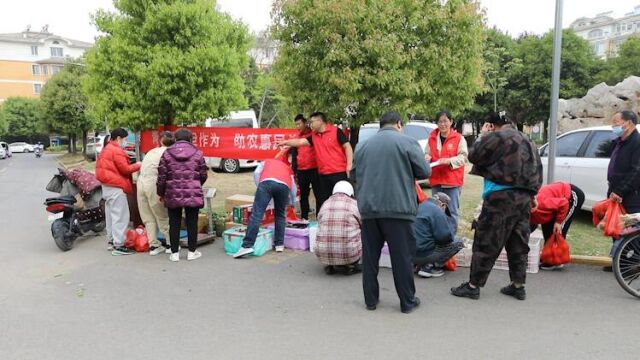 农青先锋化身“菜农” 枣庄台儿庄助农惠民显担当