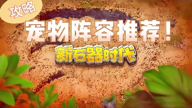 新石器时代宠物阵容搭配推荐攻略,新手攻略