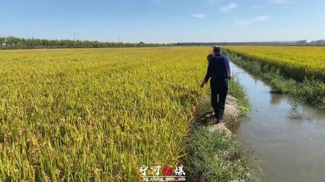 早安ⷮŠ宁河丨最新丨这些一律禁止!天津严查隐形教培!