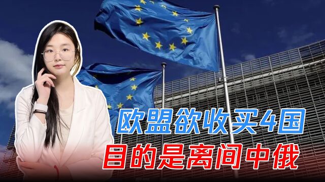 欧盟欲收买4国,发起所谓的“欧洲魅力攻势”,目的是离间中俄