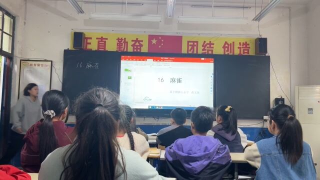 庙下镇薛庄小学张文茜四年级语文《麻雀》