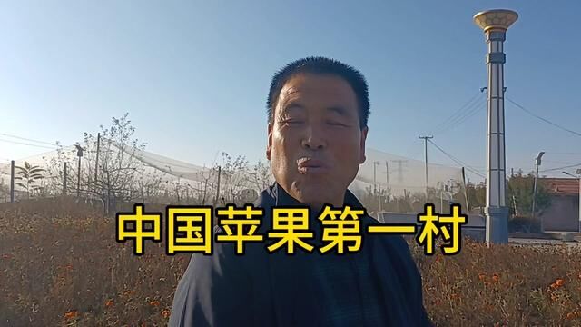 中国苹果第一村为什么在陕西洛川?走进阿寺村,了解李新安的故事