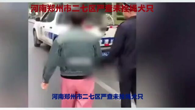 河南郑州市二七区严查未拴绳犬只