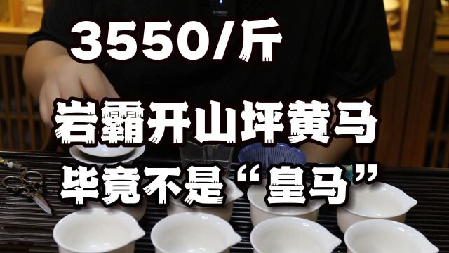 乏善可陈!3550/斤岩霸开山坪黄马...