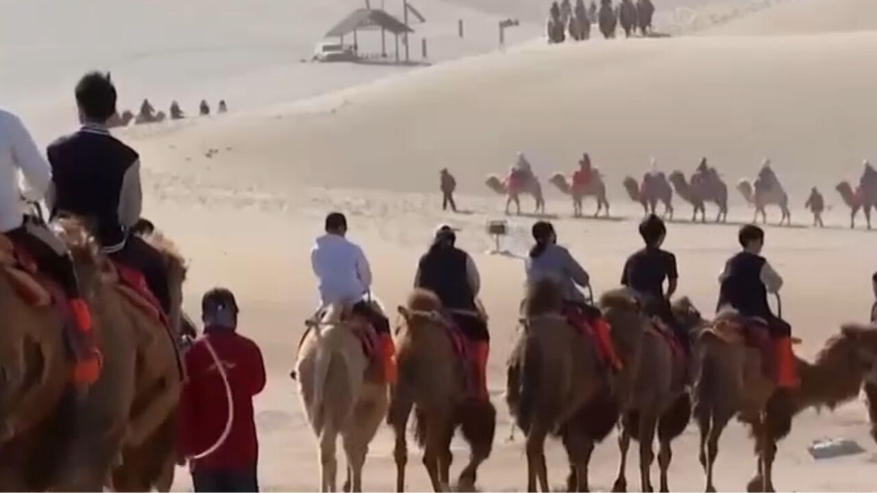 甘肃敦煌:鸣沙山月牙泉景区驼队如织,再现丝路壮美风景