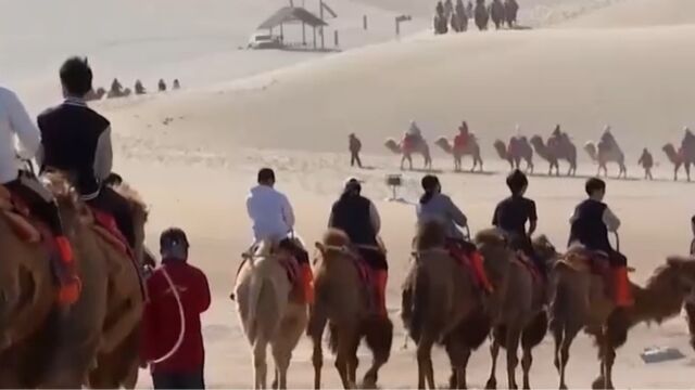 甘肃敦煌:鸣沙山月牙泉景区驼队如织,再现丝路壮美风景