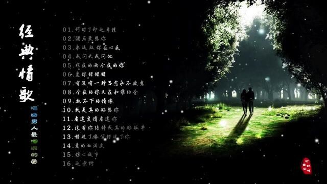 网络醉美情感歌曲,唱出男人最深沉的爱