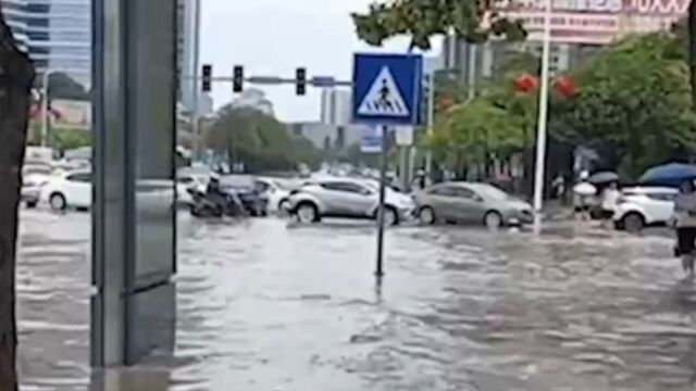 台风“三巴”来袭!广东湛江普降大到暴雨,部分路段积水,学校停课