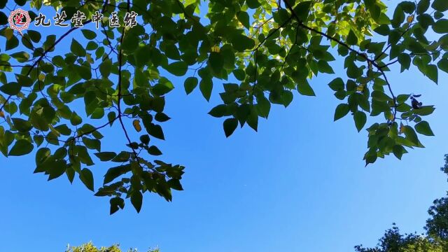 今日立夏|迎夏之首,万物并秀;