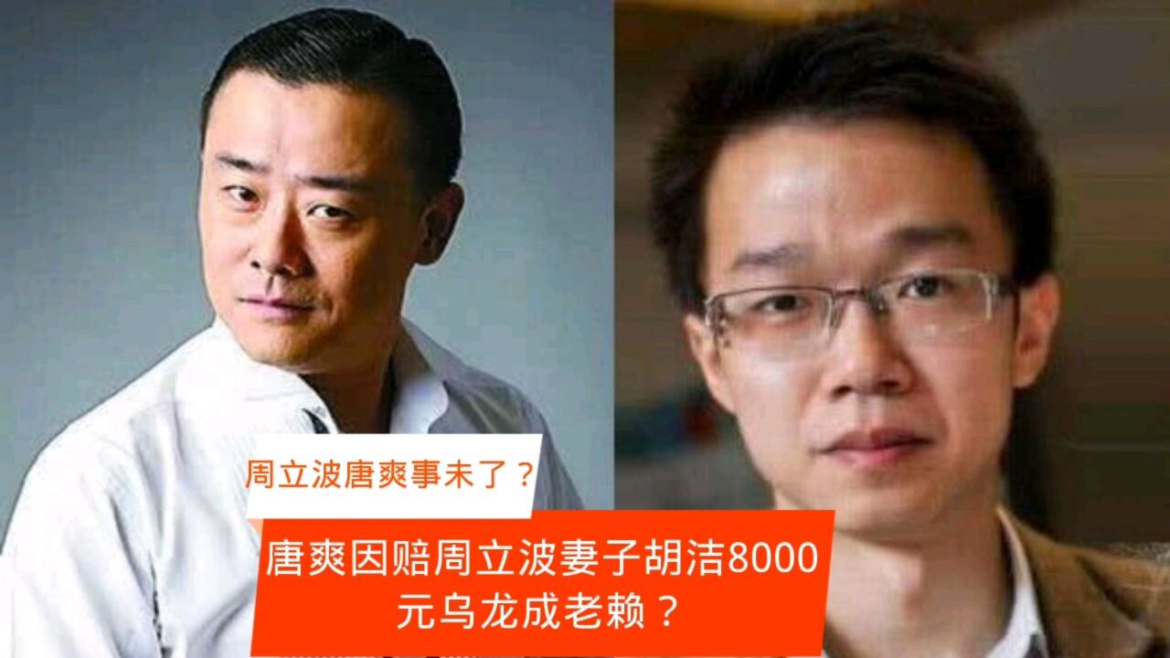 唐爽因赔周立波妻子胡洁8000元执行乌龙成老赖?