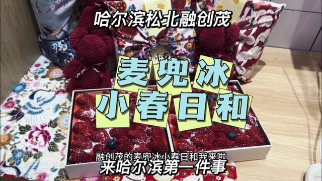 期待了好久的小春日和 终于满足了哈尔滨第一份美食 #为五一假期准备512g的胃 #用美食开启五一假期 #一口下去幸福满满