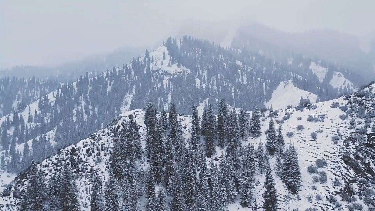 夏季的新疆雪景