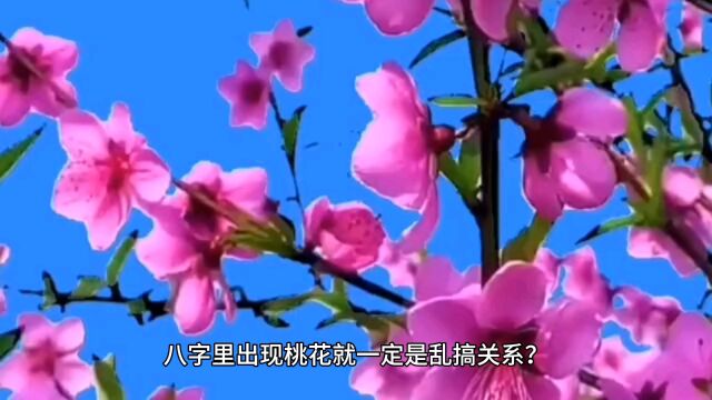 八字里出现桃花就一定是乱搞关系吗#易学智慧 #命理八字