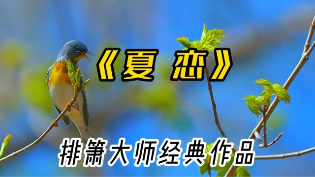 经典排箫曲《夏恋》,空灵飘逸,带去夏日的清凉和慰藉