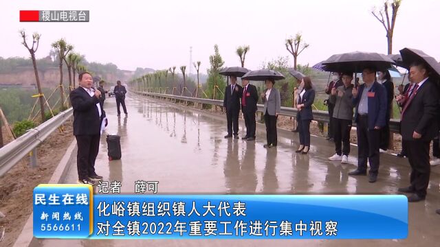 化峪镇组织镇人大代表对全镇2022年重要工作进行集中视察