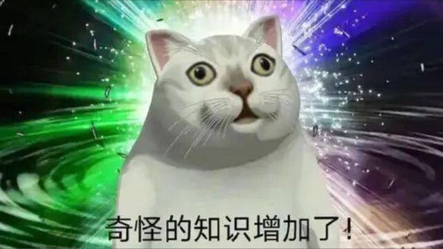 教科书式的扁平足!扁平足能有多平?