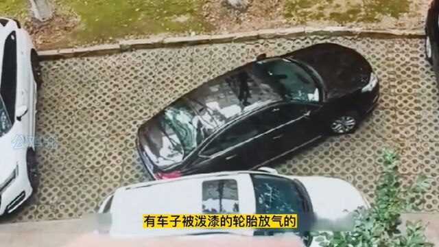 女司机随意停车,让人不满啦,我们要文明停车