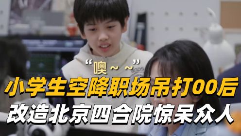 12岁小学生空降职场吊打实习生，改造北京四合院惊呆众人！