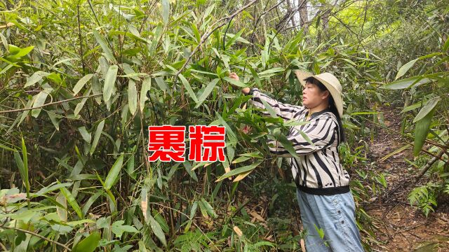 媳妇做梦都在吃粽子,先准备树枝和叶,她说这样裹超好吃还不易坏