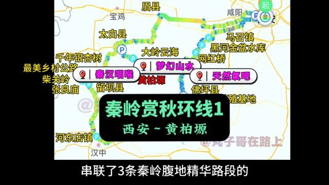 沣峪口鸡窝子冷杉林今年看不成了,去黄柏塬的人会特别多,希望这条视频攻略能对你有所帮助!