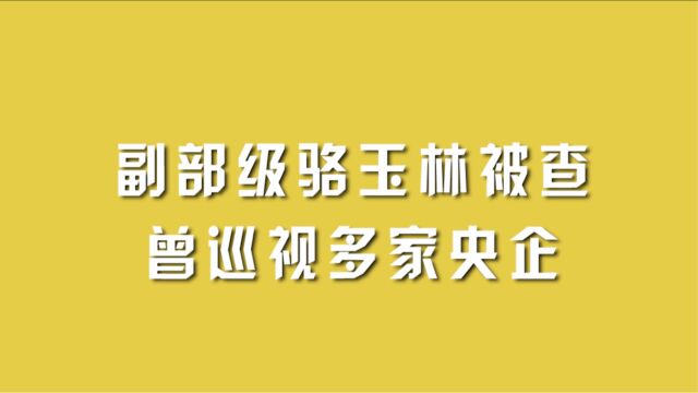 副部级骆玉林被查,曾巡视多家央企