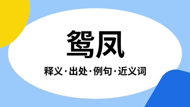 “鸳凤”是什么意思?