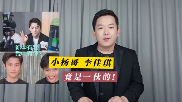 李佳琦和小杨哥合资开公司,小丑竟是我们自己?