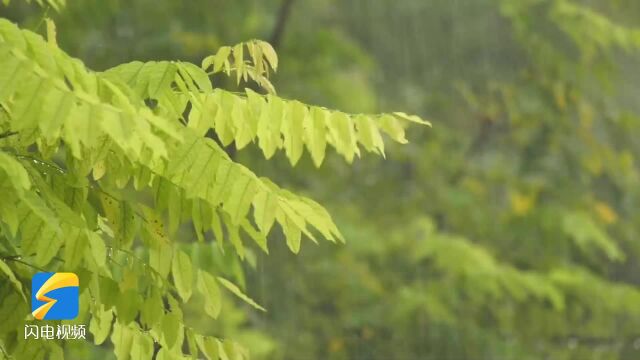 气象知识小科普:天气预报为什么不能达到100%准确?