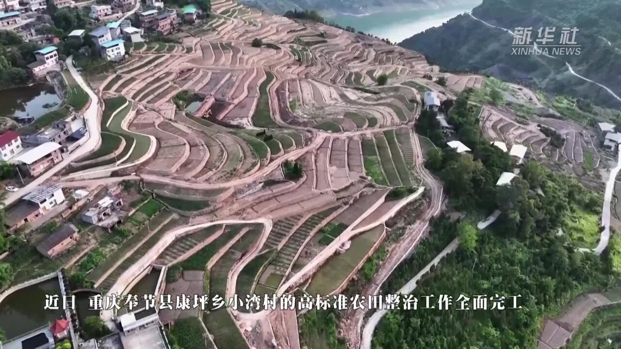 重庆奉节:层层梯田景如画 绿水青山产业兴