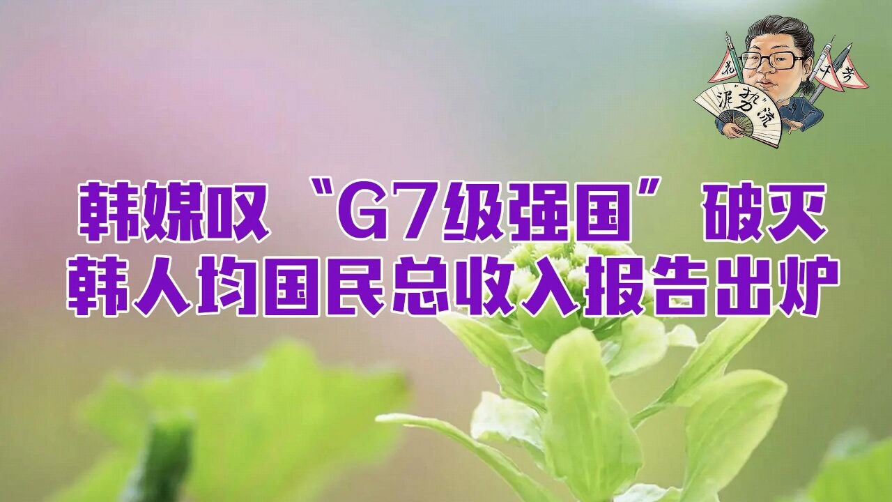 花千芳:韩媒叹“G7级强国”破灭,韩人均国民总收入报告出炉