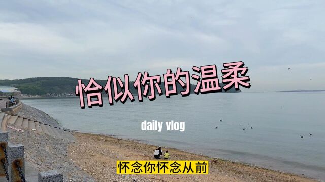 恰似你的温柔:怀念你怀念从前