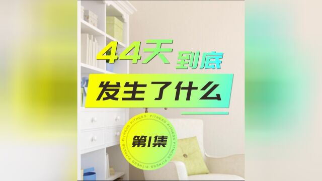 再谈长城举报比亚迪第1集:44天 究竟发生了什么?