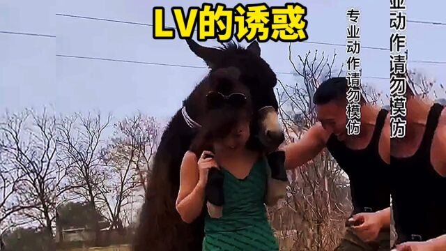 LV的诱惑,这也太拼了