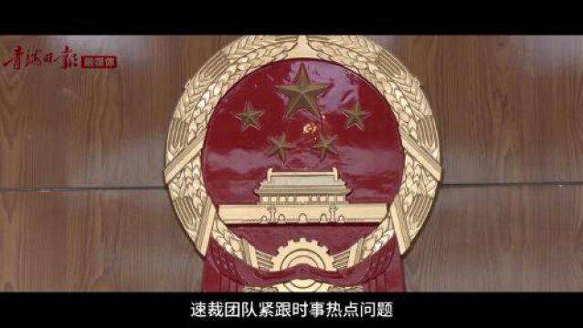 海南共和:“简案快审”跑出司法为民“加速度”